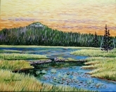 Beaver Pond - Southern Shore Highway