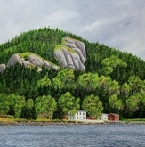 Conception Harbour