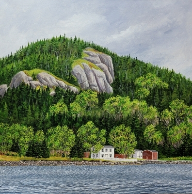 Conception Harbour