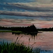 Evening at Paddy's Pond