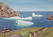 Icebergs Near Quidi Vidi