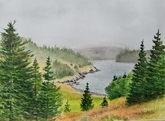 Rainy Day at Clear Cove - Port Kirwan