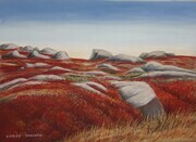 Red Barrens
