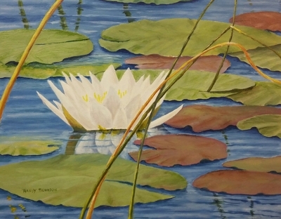 Water Lily