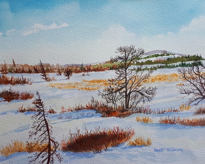 Winter Barrens - Witless Bay Line